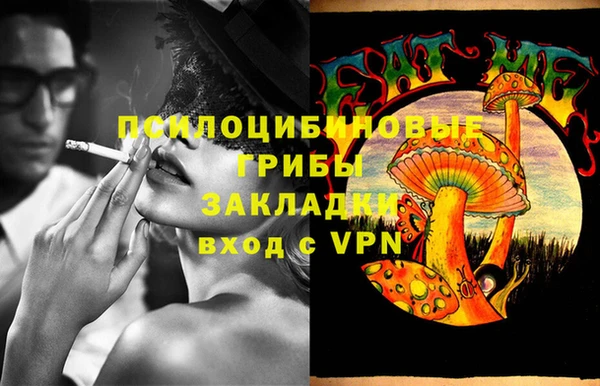 ешки Горнозаводск
