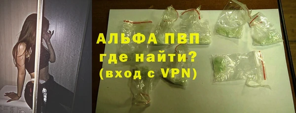 PSILOCYBIN Туринск