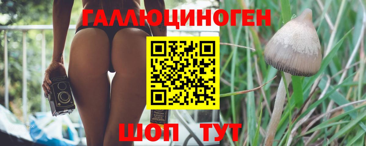 наркошоп  Псилоцибиновые грибы GOLDEN TEACHER  Вход с VPN  Наро-Фоминск  Галлюциногенные грибы Magic Shrooms 